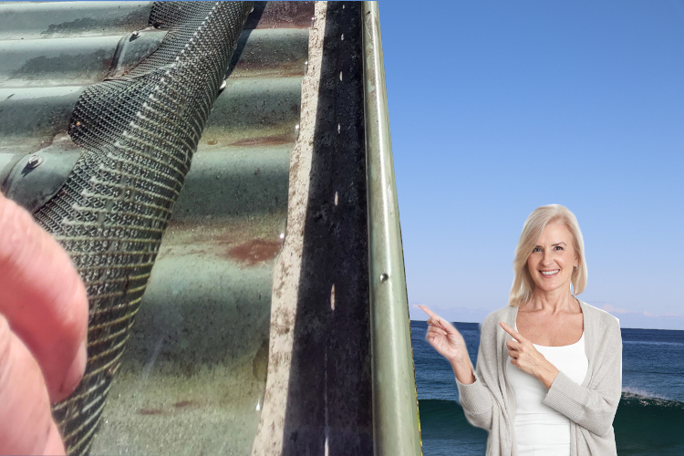 
batemansbay Woman Thrilled by Cleaned Underneath Gutter Guard Achievement